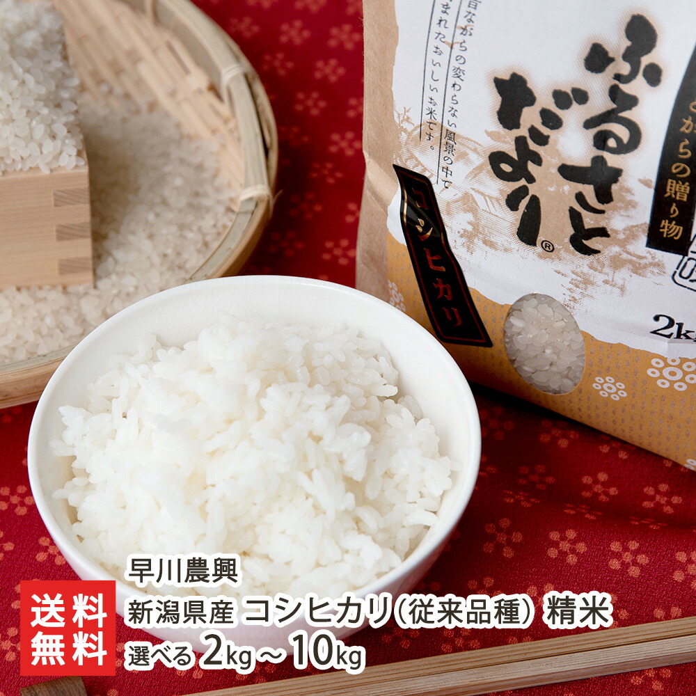順次収穫　新米コシヒカリ 楽天市場】令和7年産 宮崎県産 コシヒカリ 新米 10kg 8月中旬