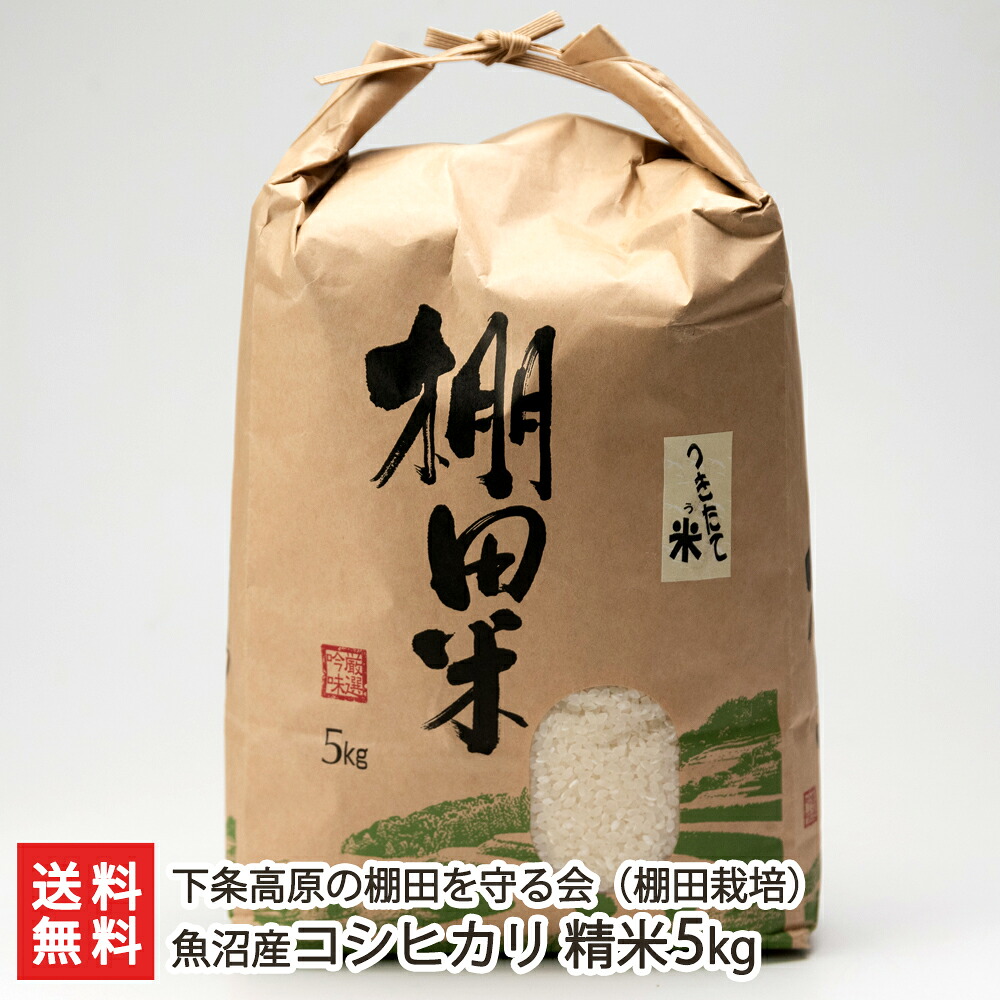 【令和7年度米】魚沼産コシヒカリ（棚田栽培）精米5kg 下条高原の棚田を守る会【こしひかり/新潟産/新潟県産/棚田米/魚沼コシヒカリ】【お土産/手土産/プレゼント/ギフトに！贈り物】【送料無料】