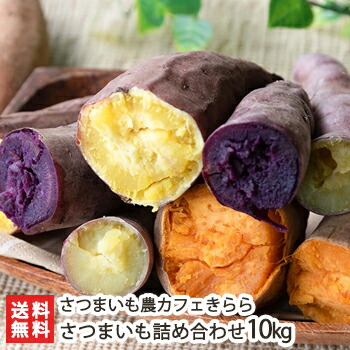 魚沼のさつまいも詰め合わせ 10kg（約20袋）さつまいも農カフェきらら【旬のさつまいもをセットでお届け/サツマイモ/さつま芋/焼きいもに/紅はるか】【送料無料】