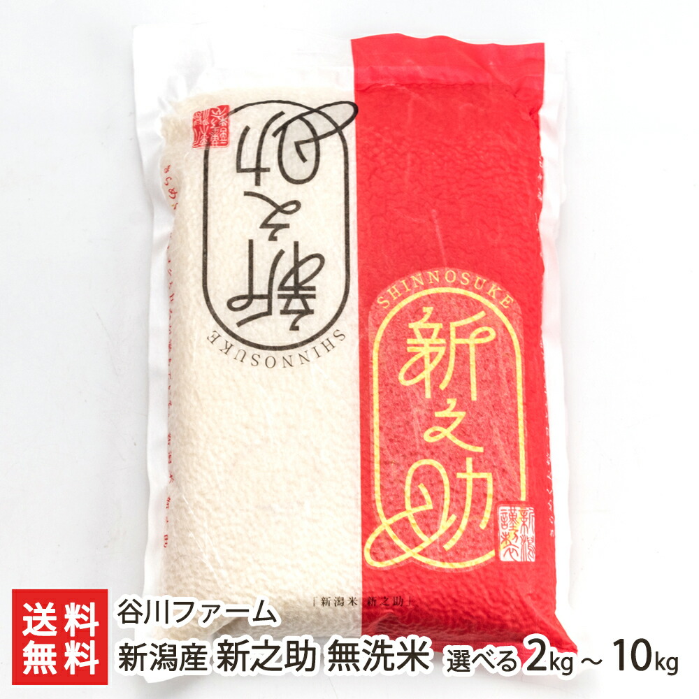 極美品】タグ付き KOSEN ケーセン りす 23㎝ 参考定価23,650円