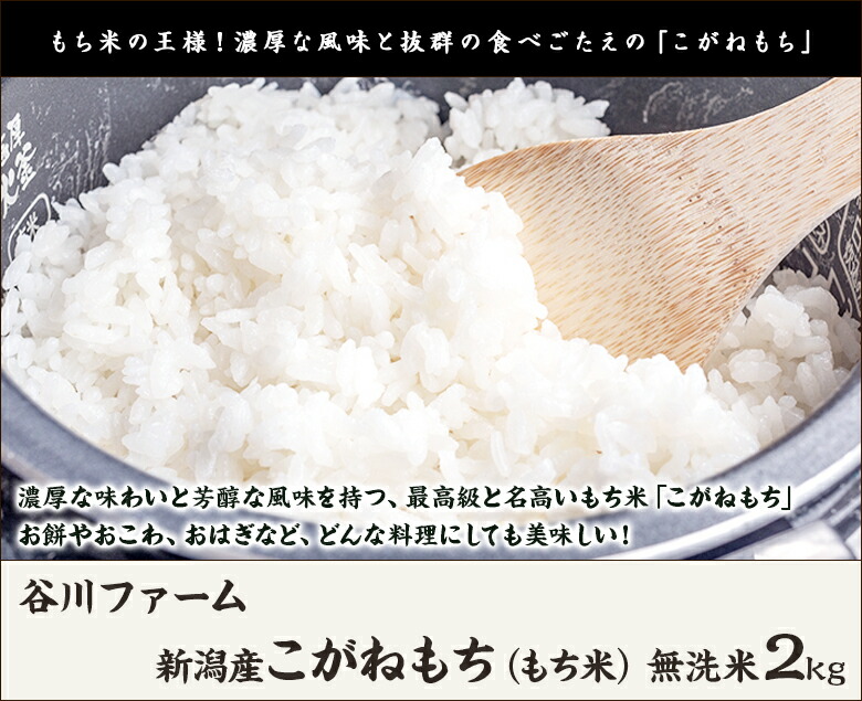 市場 令和3年度米 谷川ファーム 無洗米2kg 新潟産こがねもち もち米 産地直送 送料無料 新潟県産