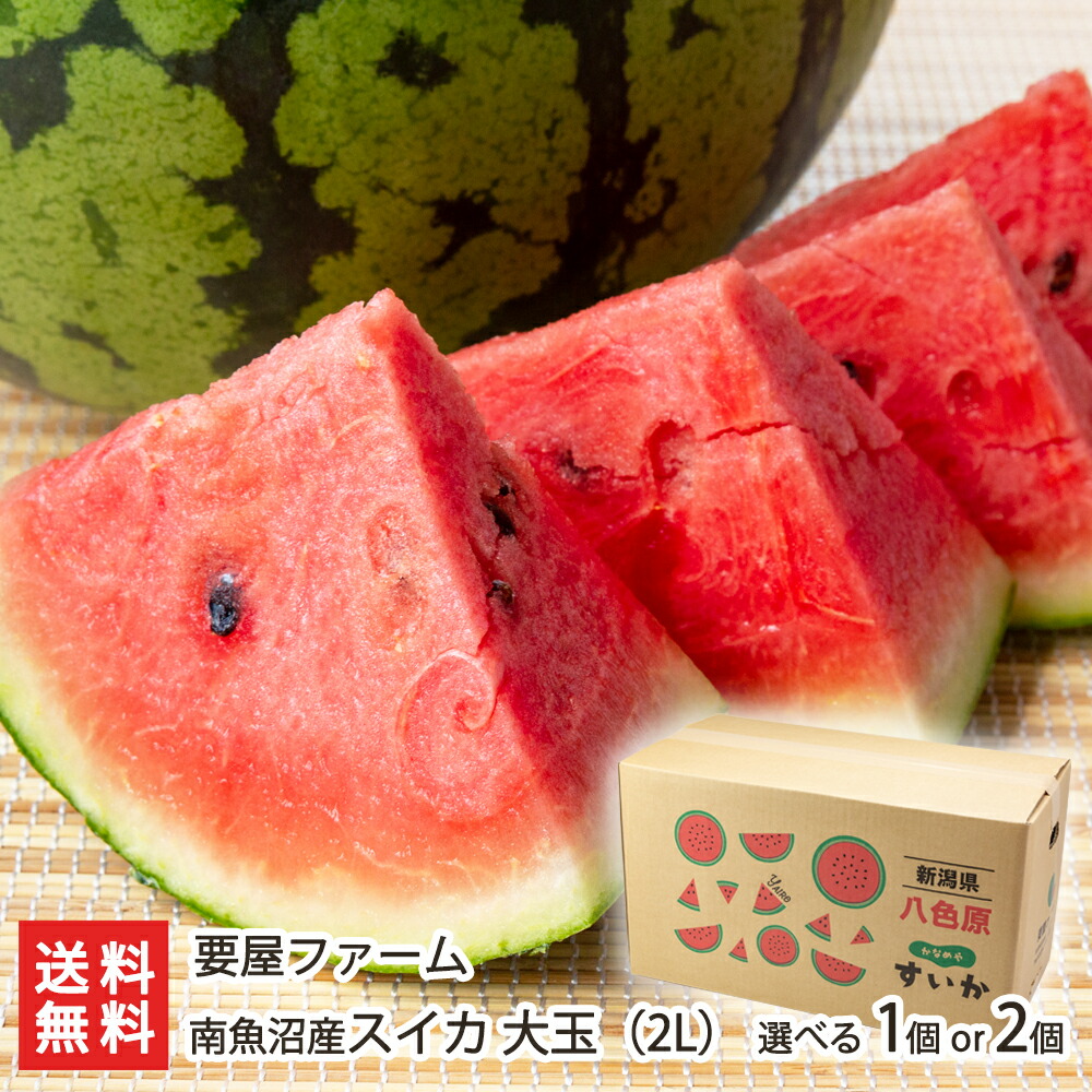 楽天市場】魚沼「八色産スイカ」大玉 2Lサイズ 2個入り 荒井