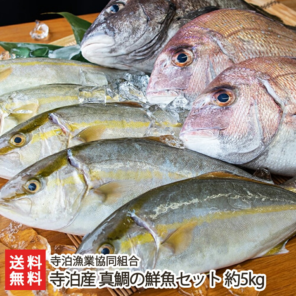 楽天市場 寺泊産 真鯛の鮮魚セット 約5kg 真鯛 約1kg 1尾 と旬魚2 3種 約4kg 寺泊漁業協同組合 新潟 漁港直送 送料無料 新潟直送計画 マダイ 鮮魚 さっぱりとした脂 鯛茶漬けや刺身に 冷蔵便 新潟直送計画 楽天市場店