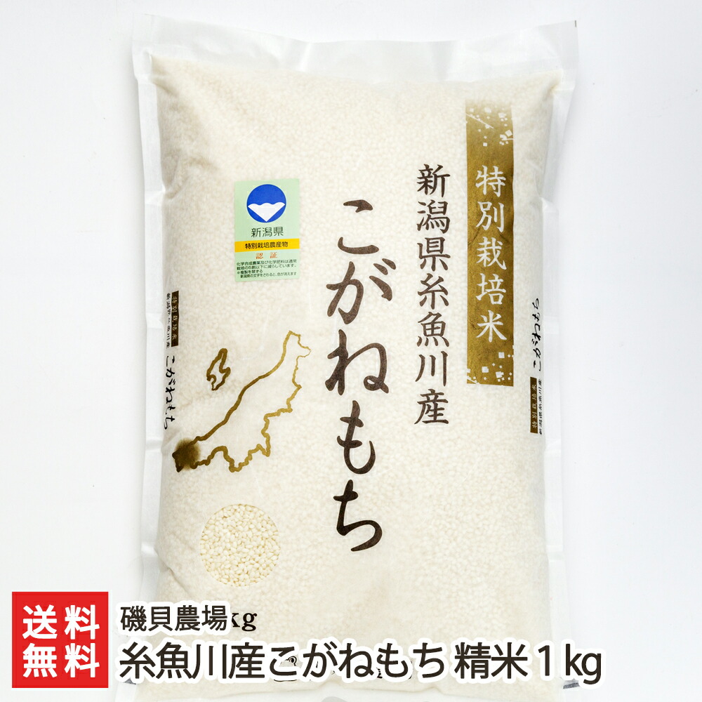 市場 令和3年度米 糸魚川産もち米 特別栽培米 こがねもち 新潟県産 産地直送 精米1kg 磯貝農場