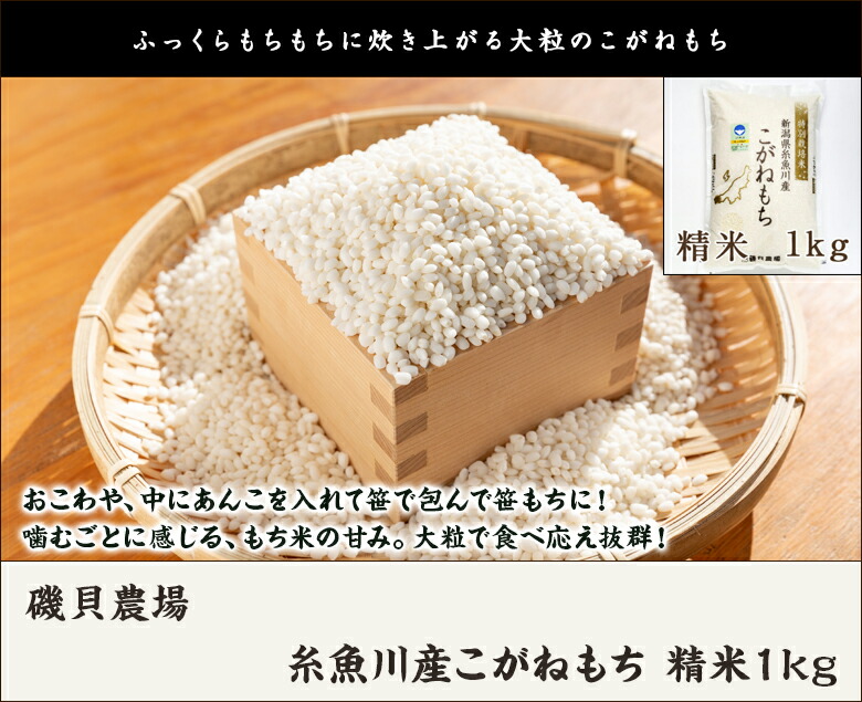 市場 令和3年度米 糸魚川産もち米 特別栽培米 こがねもち 新潟県産 産地直送 精米1kg 磯貝農場