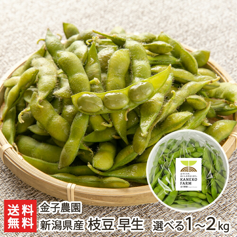 楽天市場】新潟産 黒埼茶豆（小平方地区） 1.5kg（500g×3袋）野崎農園