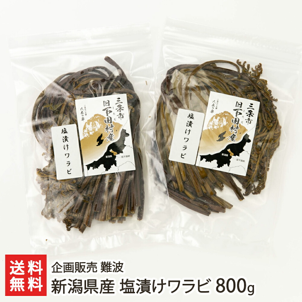 新潟県産 オンラインショップ 塩漬けワラビ 800g 0g 4パック 企画販売 難波 生産者直送 送料無料 アク抜き不要 山の幸 新潟直送計画 天然 わらび 蕨生 山菜