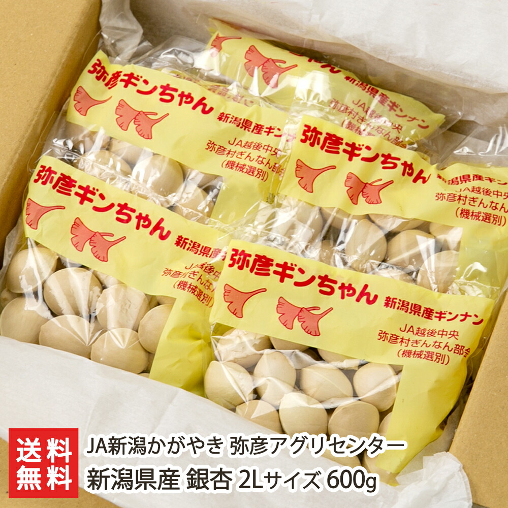 楽天市場】【送料無料】 愛知県産 祖父江ぎんなん 藤九郎 2L〜3L