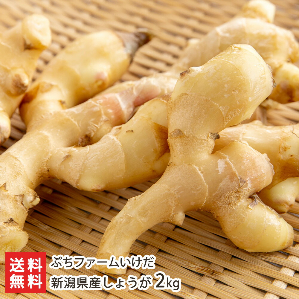 新潟県産しょうが 2kg 新潟直送計画 ショウガ 生姜 薬味新潟県 生産者直送 お取り寄せ ギフト プレゼント 贈り物 送料無料