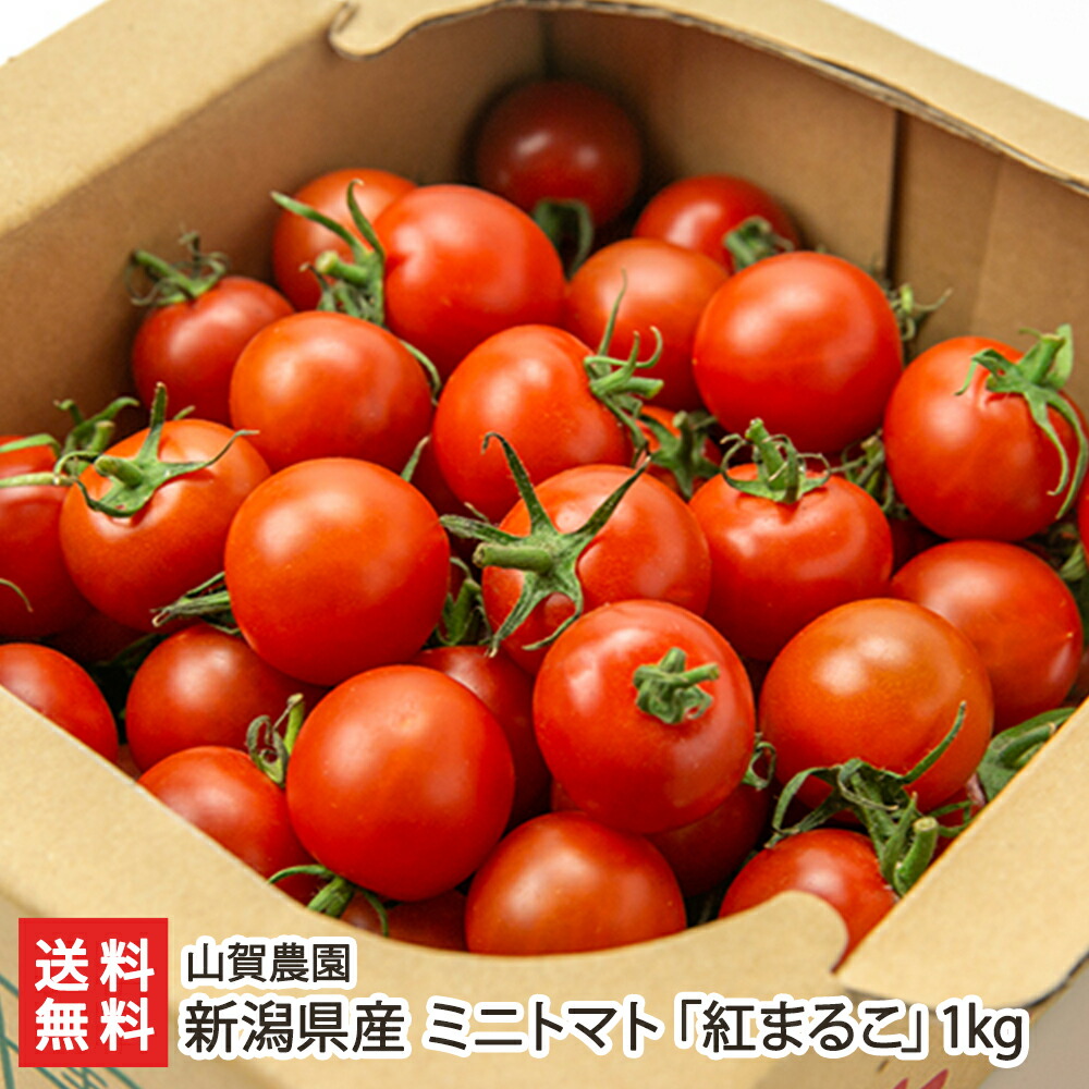 新潟県産 ミニトマト 山賀農園 プチトマト 送料無料 1kg 新潟直送計画 産地直送 とまと 紅まるこ