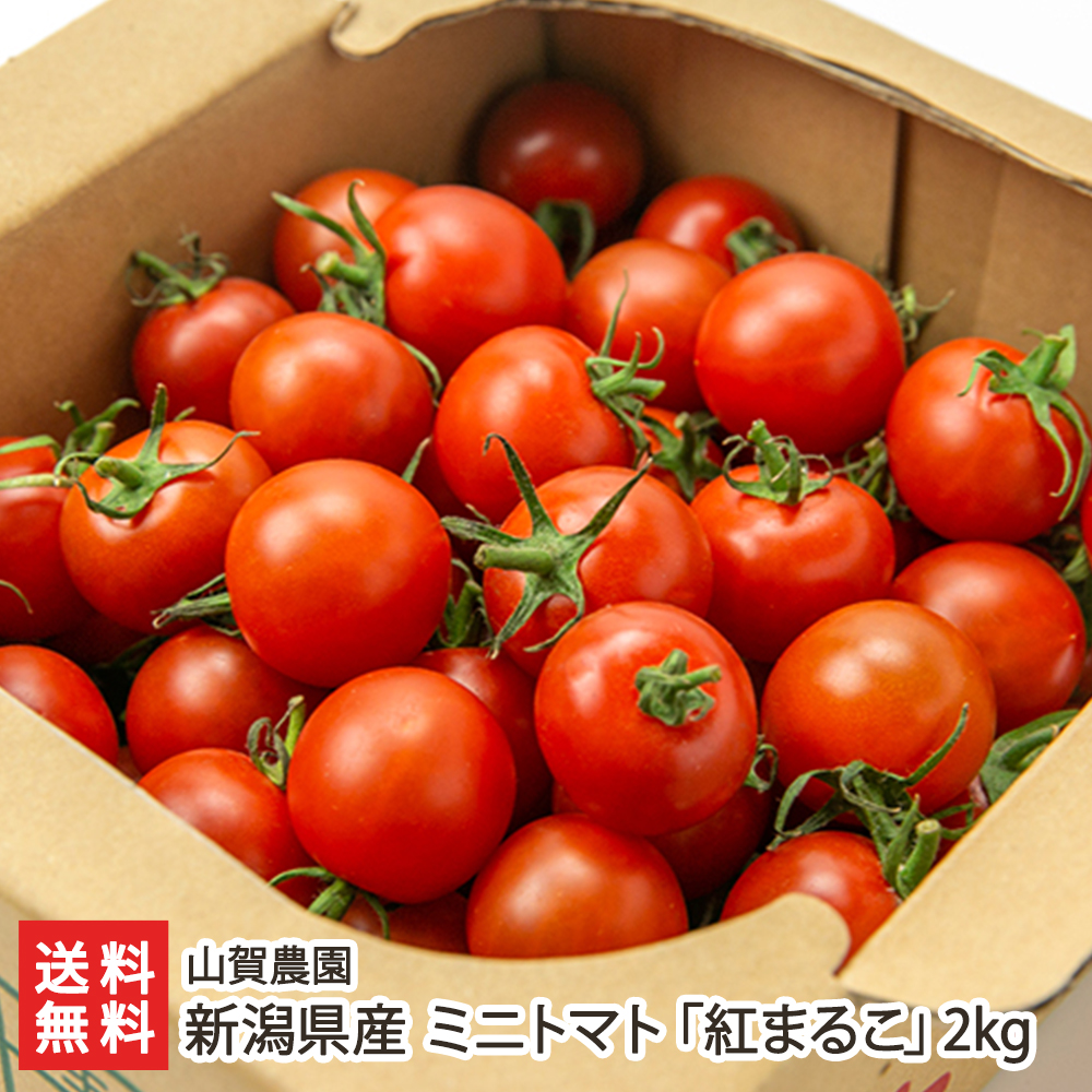 市場 新潟県産 とまと 山賀農園 送料無料 新潟直送計画 紅まるこ プチトマト 2kg ミニトマト 産地直送