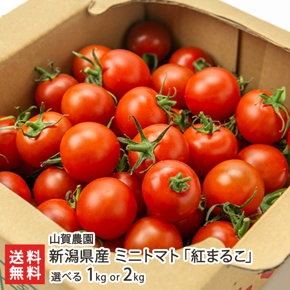 新潟県産 ミニトマト 山賀農園 とまと プチトマト 紅まるこ 送料無料 2kg 産地直送 新潟直送計画