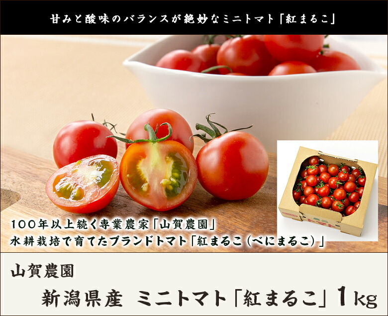新潟県産 ミニトマト とまと 紅まるこ 送料無料 プチトマト 新潟直送計画 1kg 山賀農園 産地直送