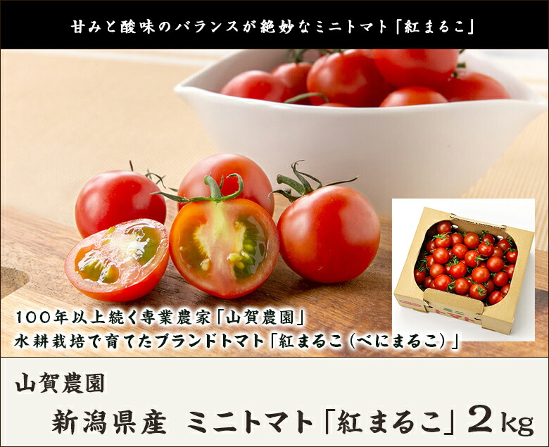 新潟県産 ミニトマト 山賀農園 とまと プチトマト 紅まるこ 送料無料 2kg 産地直送 新潟直送計画
