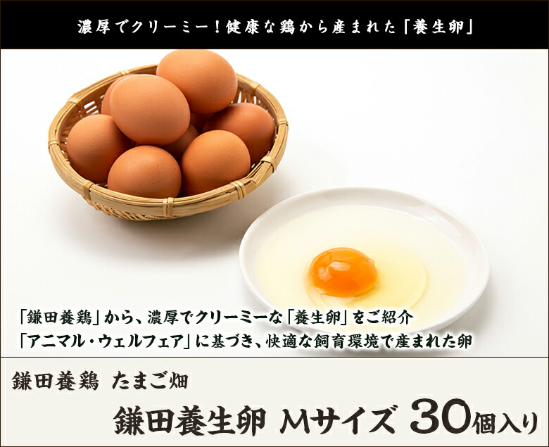 市場 新潟地鶏卵 鎌田養鶏 送料無料 Mサイズ たまご畑 30個入 鎌田養生卵 生産者直送 たまご