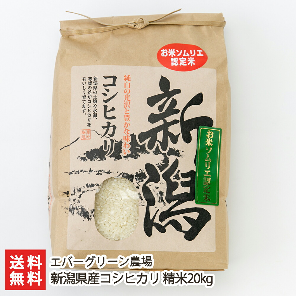 令和3年度産 新潟こしひかり 20kg(5kg×4袋) 特別栽培米 umbandung.ac.id