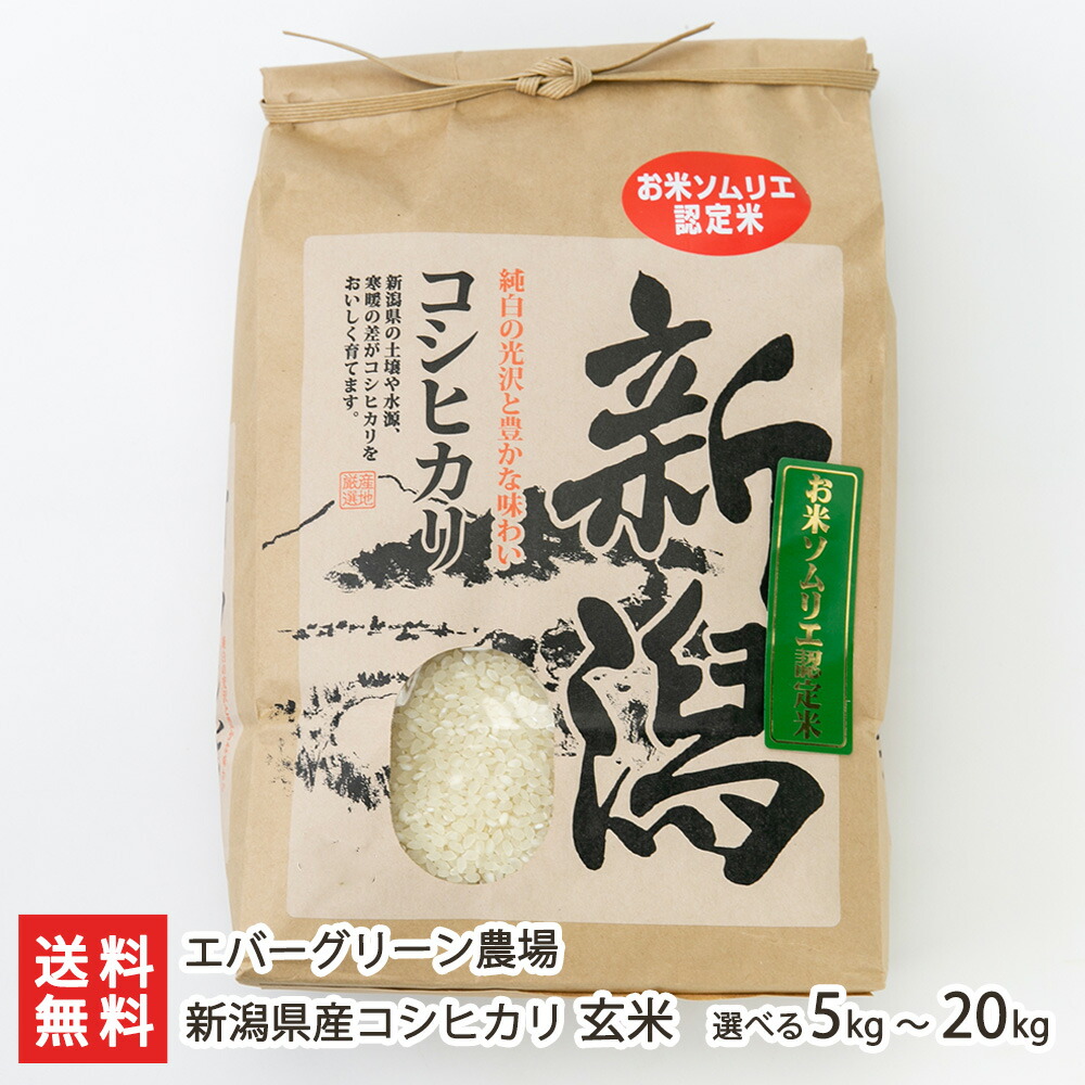 【令和7年度米】新潟県産コシヒカリ 玄米 選べる 5kg 10kg 20kg エバーグリーン農場 こしひかり ライス 五泉市 お米ソムリエ 新潟産 生産者直送 お取り寄せ ギフト プレゼント 贈り物 送料無料
