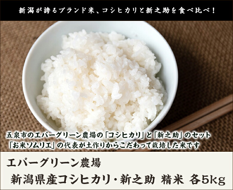 市場 令和3年度米 しんのすけ 新之助 精米 こしひかり 各5kg エバーグリーン農場 各5kg×1袋 ライス 白米 新潟県産コシヒカリ