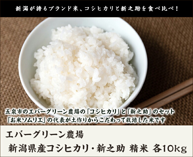 市場 令和3年度米 各5kg×2袋 しんのすけ ライス 精米 白米 こしひかり 新潟県産コシヒカリ エバーグリーン農場 各10kg 新之助