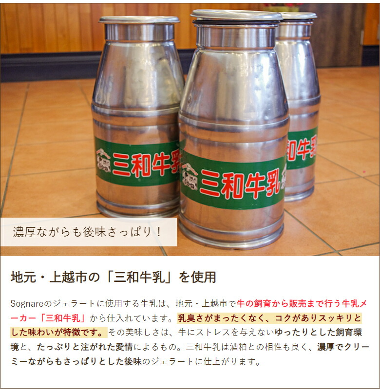 12566円 【メーカー直売】 植物成長調整剤 マデックＥＷ 500ｍｌ×２ MCPB乳剤かんきつ用成長調整剤