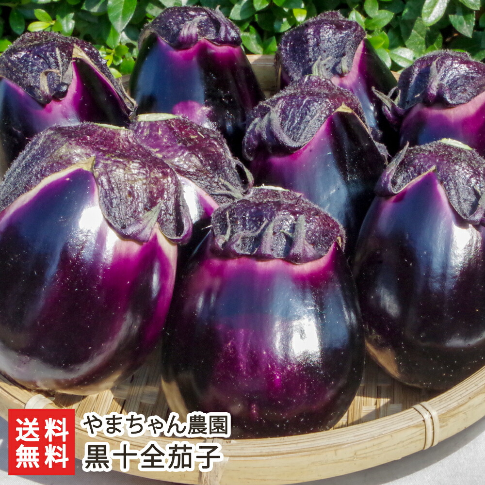 なすなす⭐︎✨ 楽天市場】茄子の浅漬け 十全なす（八石なす）のあさ漬け 5個入×3袋