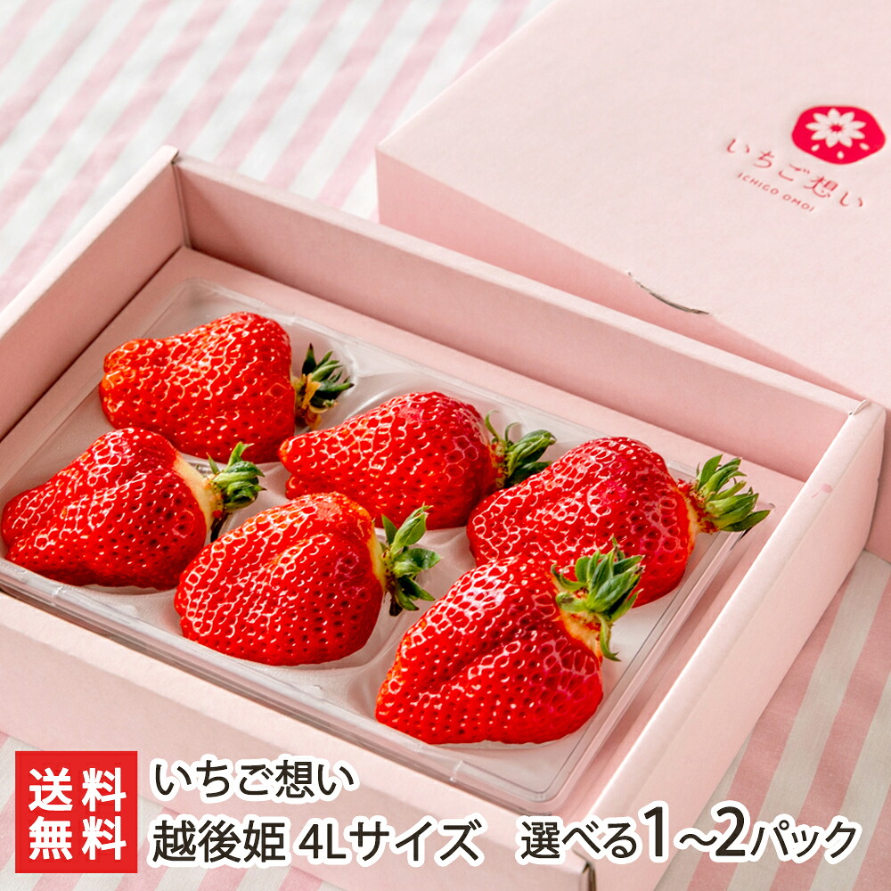 越後姫 4Lサイズ （1パックあたり6粒） 選べる 1パック入り or 2パック入り いちご想い いちご イチゴ ストロベリー フルーツ 果物 苺 ブランドいちご 大粒 新潟県 生産者直送 お取り寄せ ギフト プレゼント 贈り物 送料無料