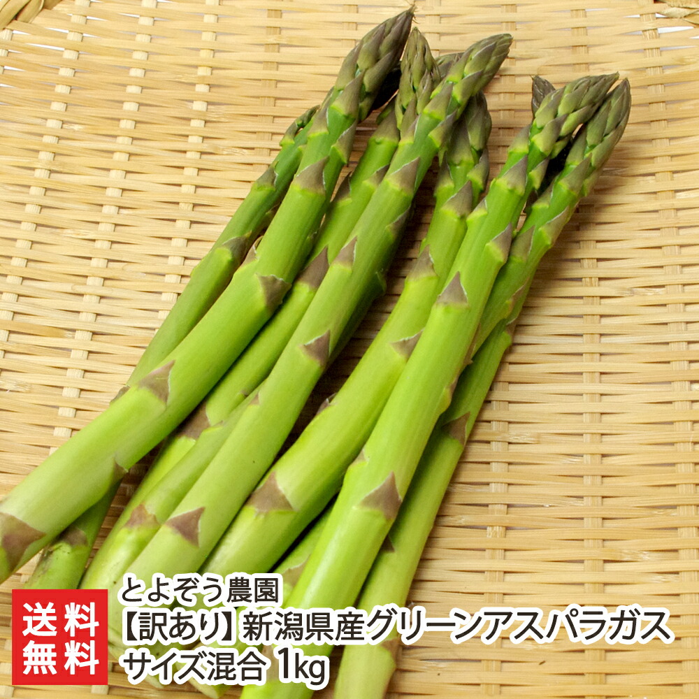 新潟産 グリーンアスパラガス 極太サイズ（1kgあたり20本程度）1kg ファーム小栗山【野菜/採れたて/太いアスパラガス /縦箱/冷蔵便】【送料無料】お中元ギフトにも！ 新潟直送計画 