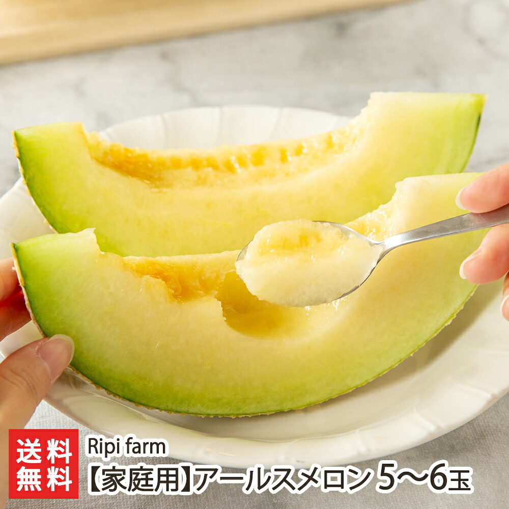 【家庭用】アールスメロン 5~6玉入り Ripi farm【代金引換決済不可】【リピファーム/新潟県産/新潟直送計画/フルーツ/めろん/王様/みずみずしい/なめらか/濃厚/お取り寄せ/訳あり】【お土産/手土産/プレゼント/ギフトに!贈り物】【送料無料】|新潟県公式ショップ 新潟直送計画