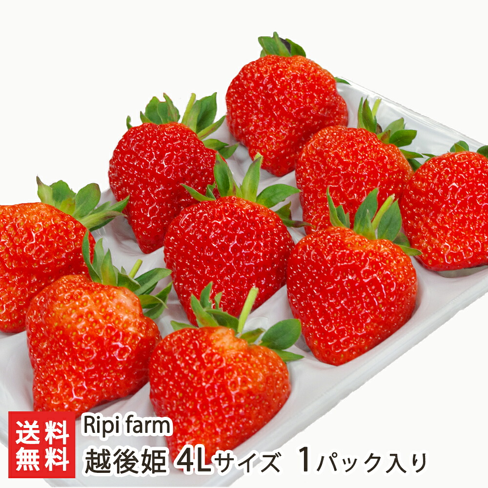 越後姫 4Lサイズ 1パック入り（9粒） Ripi farm【代金引換決済不可】【リピファーム/新潟/新潟産/新潟ブランド苺/えちごひめ/苺/イチゴ/いちご/大粒/甘い/果物/フルーツ/お取り寄せ】【お土産/手土産/プレゼント/ギフトに！贈り物】【送料無料】 4,420円