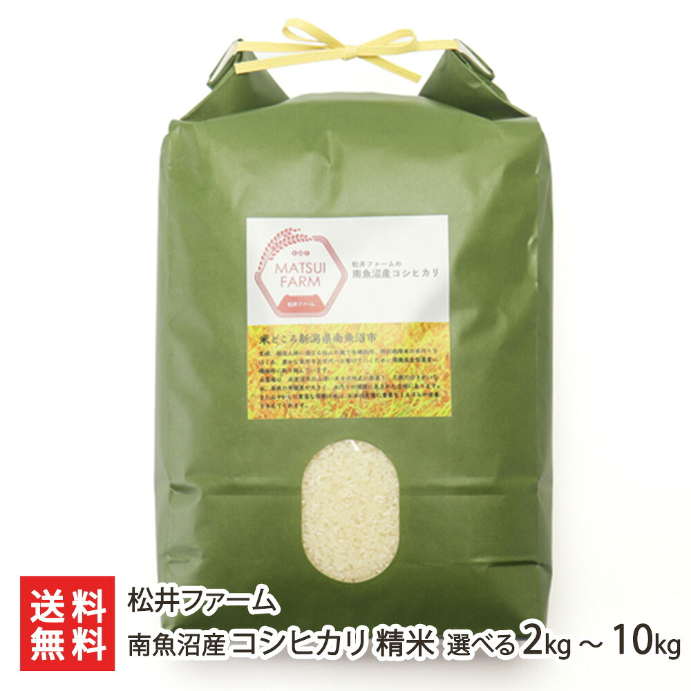 【令和7年度米】南魚沼産 コシヒカリ 精米 選べる 2kg 4kg 5kg 10kg 松井ファーム 白米 うるち米 ごはん 新潟県産 こしひかり 新潟県 生産者直送 お取り寄せ ギフト プレゼント 贈り物 送料無料|新潟県公式ショップ 新潟直送計画