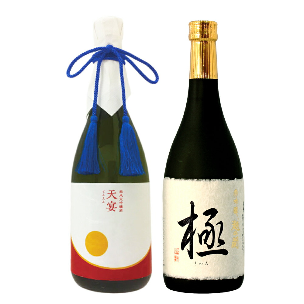 退職祝い 送別 定年退職 春ギフト 日本酒 ギフト 飲み比べ 贈り物 プレゼント 男性 女性 上司【純米大吟醸 天宴】×【大吟醸 極】720ml×2本セット 新潟地酒 誕生日 内祝い お返し 結婚祝い 出産祝い お酒 高級 おすすめ 化粧箱入り 記念品 お祝い 70代
