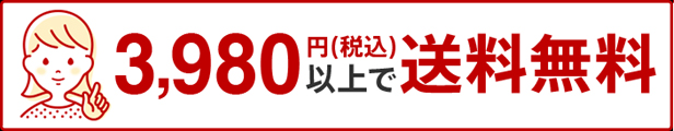 楽天市場】石定盤架台 GT-75100J 【日本製】 新潟精機 : 新潟精機