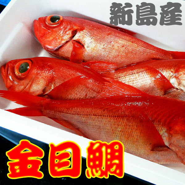 楽天市場 伊豆諸島 新島 近海 地金目 キンメダイ 1匹 1キロ 1 2キロ 新島特産品センター