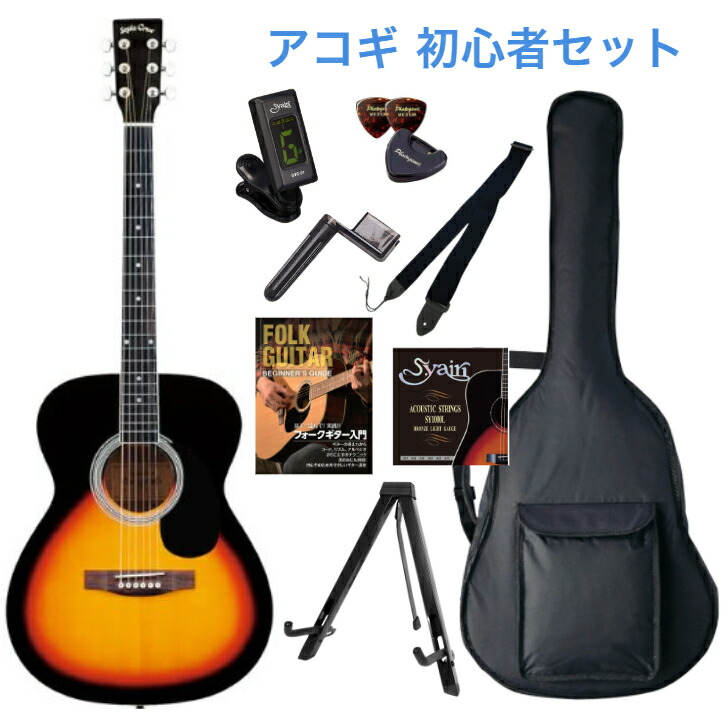 調整済 セピアクルー FG-10 FG10 アコースティックギター初心者