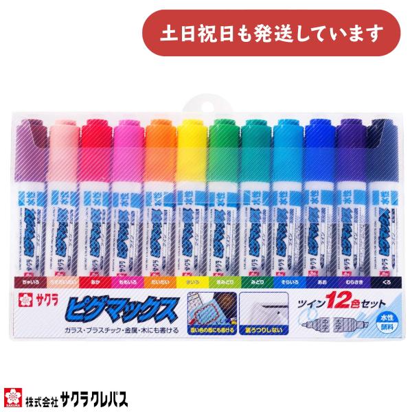 楽天市場】サクラクレパス 水性マーカー ピグマックスツイン12色セット
