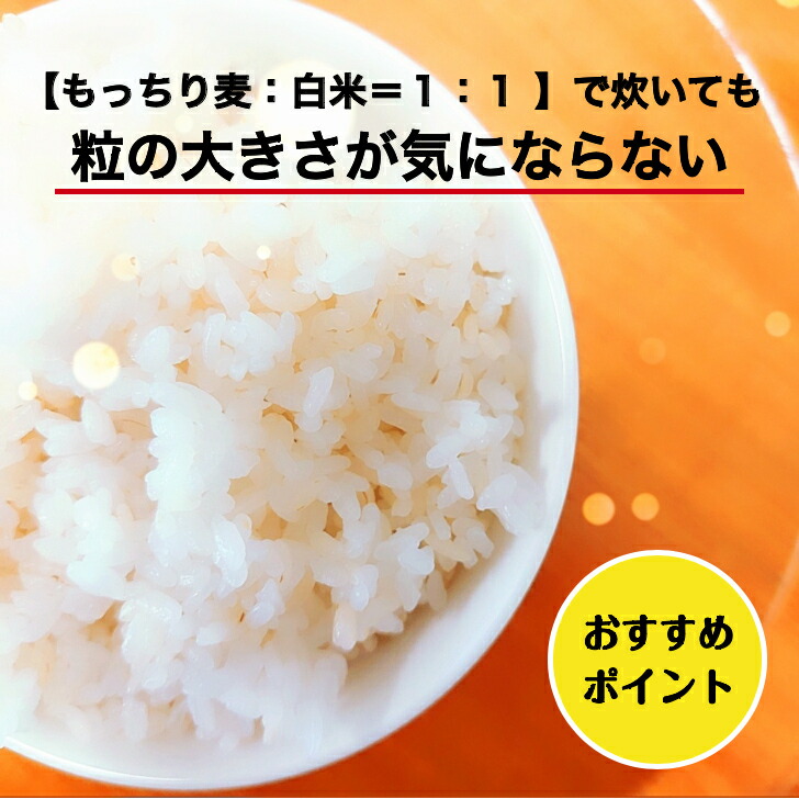 本州限定・送料無料!!令和3年産古米!!会津喜多方産コシヒカリ白米10kg※一部地域は別途送料掛かります