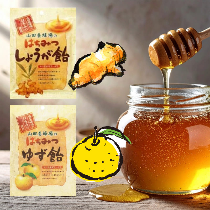 ハチミツ柚 蜂蜜柚子 500g | 飲料・水・お茶 通販 | ホームセンターのカインズ