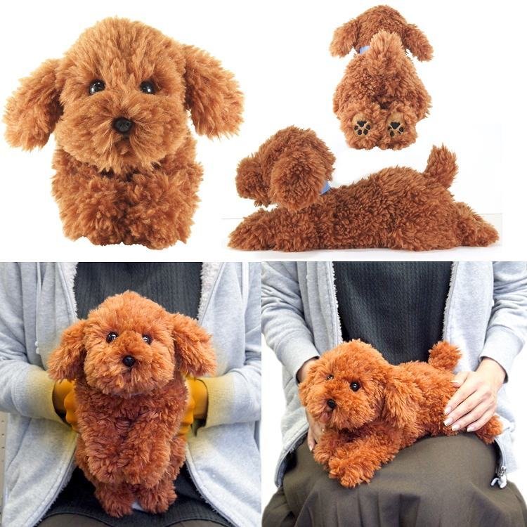 楽天市場 ひざわんこ温 トイプードル ブラウン 40 X 17 X 14 Cm 4g ぬいぐるみ 犬 イヌ かわいい オススメ ペット 代わり 子供 ペットロス 誕生 母 プードル おもちゃ 人形 にじいろマート