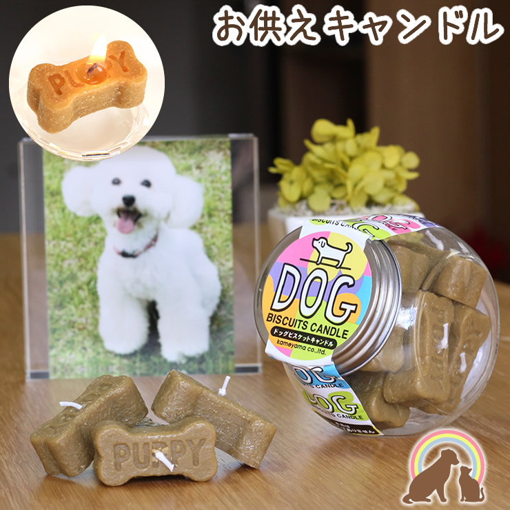 ペット お供え わんちゃんへのお供えに ドッグビスケットキャンドルかわいい 犬 短い 供養 ペット仏具 仏壇 お悔み お盆 月命日 新到着 ペット お供え わんちゃんへのお供えに ドッグビスケットキャンドルかわいい 犬 短い 供養 ペット仏具 仏壇 お悔み お盆 月命日 新到着