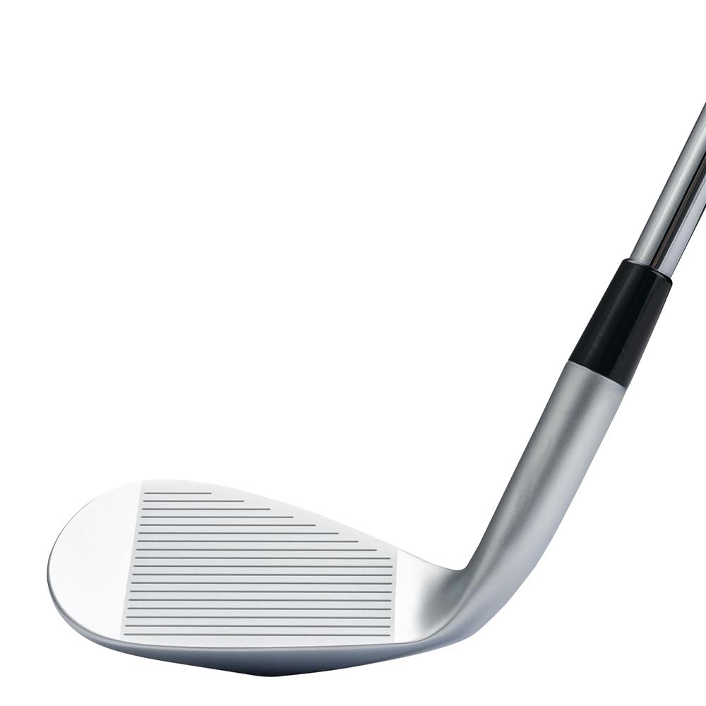 キャスコ（kasco） ドルフィンウェッジ DW-123 NSPRO 950GH neo