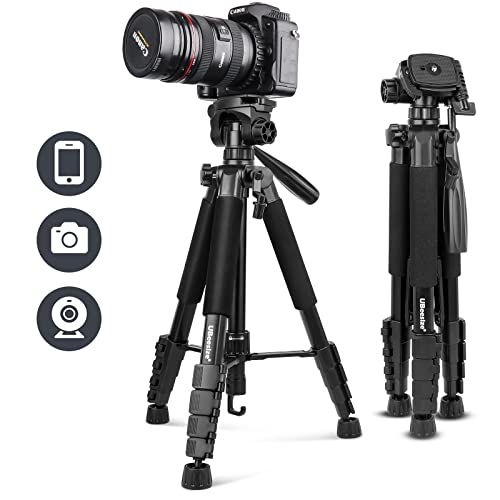 楽天市場】GITZO ロケーションシュー G1586B3 送料 無料