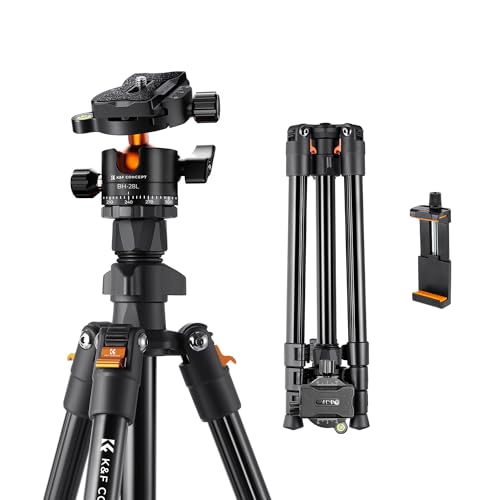 楽天市場】GITZO ロケーションシュー G1586B3 送料 無料