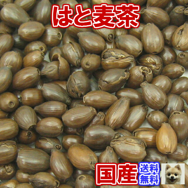 楽天市場】健康茶「国産」はと麦茶(A級品)お試しパック100ｇ【メール便送料無料】お茶 健康茶 ハーブティー 通販 通信販売 ネット販売 ハト麦茶  はとむぎ茶 送料無料 お試し 100ｇ サンプル：日光茶房