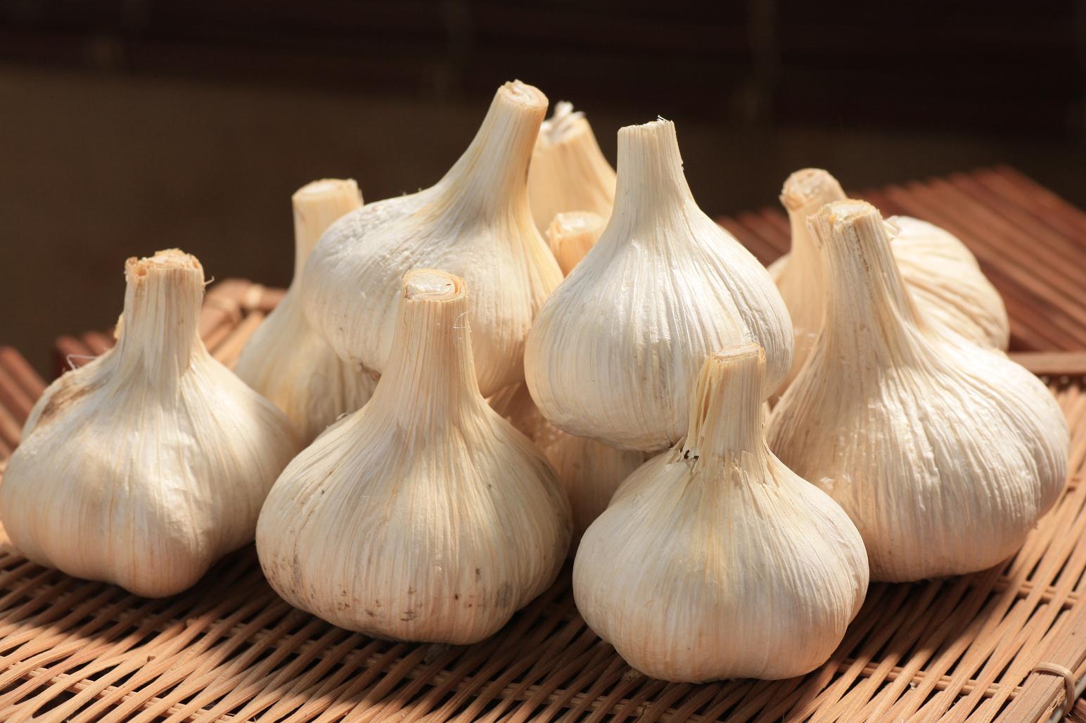 Nishi プロフ必読。 概ね3ｇ以下の小粒800粒【希少】国産平戸ニンニク Amazon.co.jp: ニンニク 種球 平戸 500g / 国華園 25年秋商品