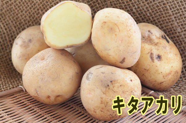 楽天市場】種芋 キタアカリ Sサイズ 1キロ（約18コ）切らずに植え