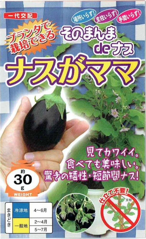 楽天市場】ナス種【 ナスがママ 】ナント種苗 : みつのぶ × Flower Trail