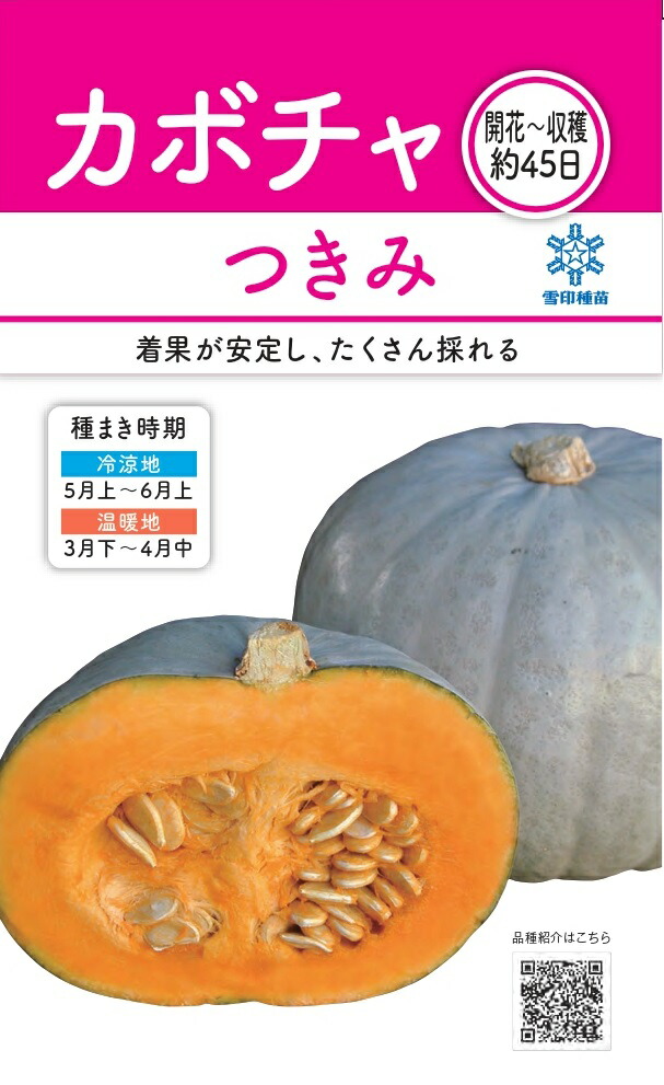 かぼちゃに様 岡山産 野菜セット かぼちゃ 1170g 100サイズ - メルカリ