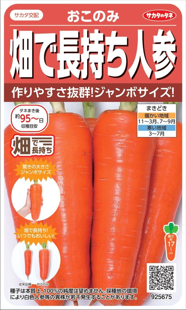 楽天市場】金美プラス みかど協和の人参品種です。 : GREEN 楽天市場】金美プラス みかど協和の人参品種です。 : GREEN