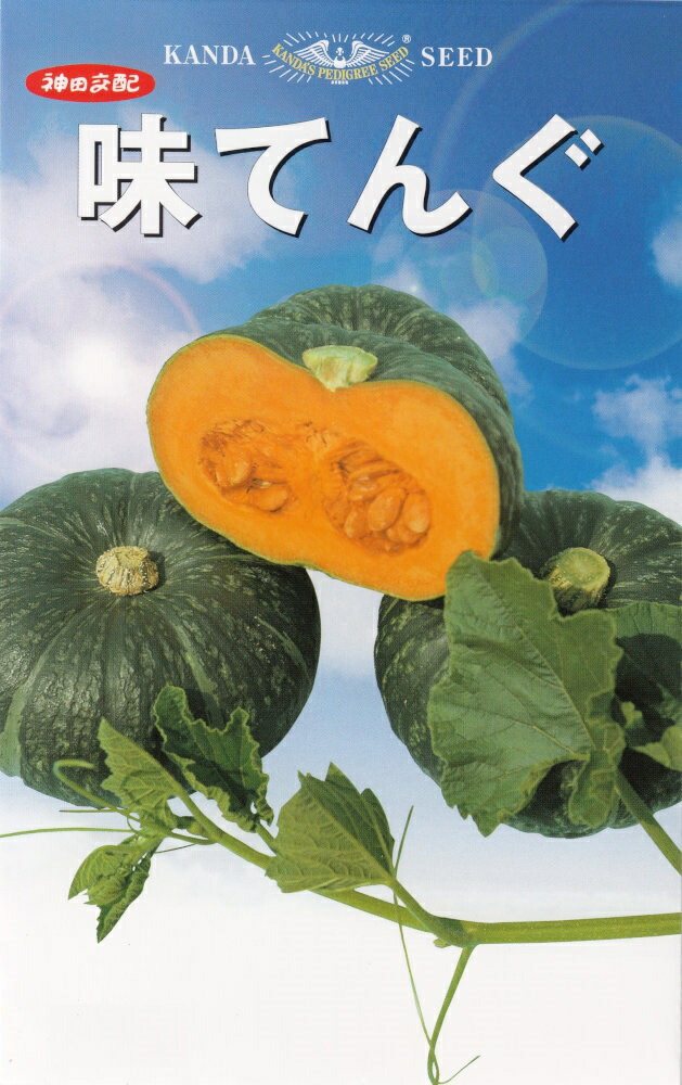 レビュー高評価の商品！ 野菜の種 種子 雪化粧 かぼちゃ 6.5ml メール便発送 サカタのタネ 種苗