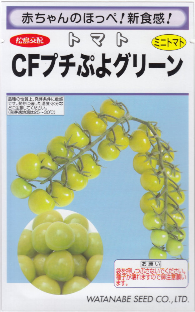 渡辺採種場「ミニトマト CFプチぷよグリーン」のタネ　[内容量:約100粒] 4,396円